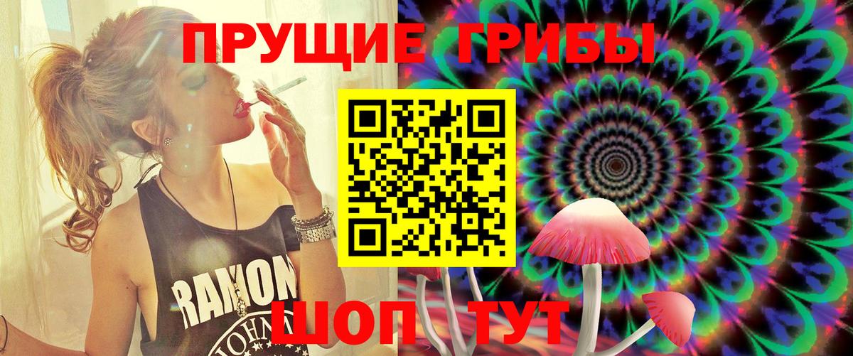 Нижнекамск  Галлюциногенные грибы Cubensis  Вход с VPN 