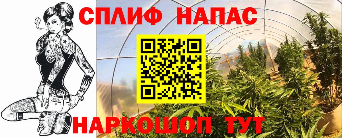 Марихуана сатива  Вход с VPN  Бошки Шишки OG Kush  Нижнекамск 